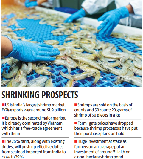 Business Standard (@bsindia) on Twitter photo #India’s shrimp exports to the #US face a storm as new #tariffs push total duties to nearly 45%, triggering panic among farmers and exporters. With ₹3,000 cr worth of inventory in limbo and farm-gate prices crashing, a $1 bn industry hit looms.
<a href="/sanjeebm77/">Sanjeeb Mukherjee</a> <a href="/shinejac/">Shine Jacob</a> #India’s shrimp exports to the #US face a storm as new #tariffs push total duties to nearly 45%, triggering panic among farmers and exporters. With ₹3,000 cr worth of inventory in limbo and farm-gate prices crashing, a $1 bn industry hit looms.
<a href="/sanjeebm77/">Sanjeeb Mukherjee</a> <a href="/shinejac/">Shine Jacob</a>
