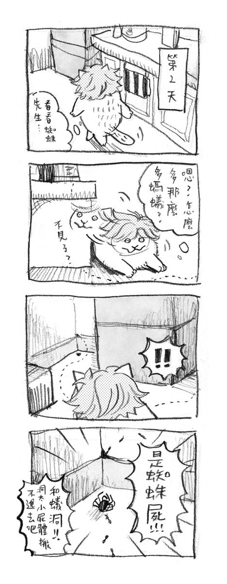 Daily snippets with Mr Spider 