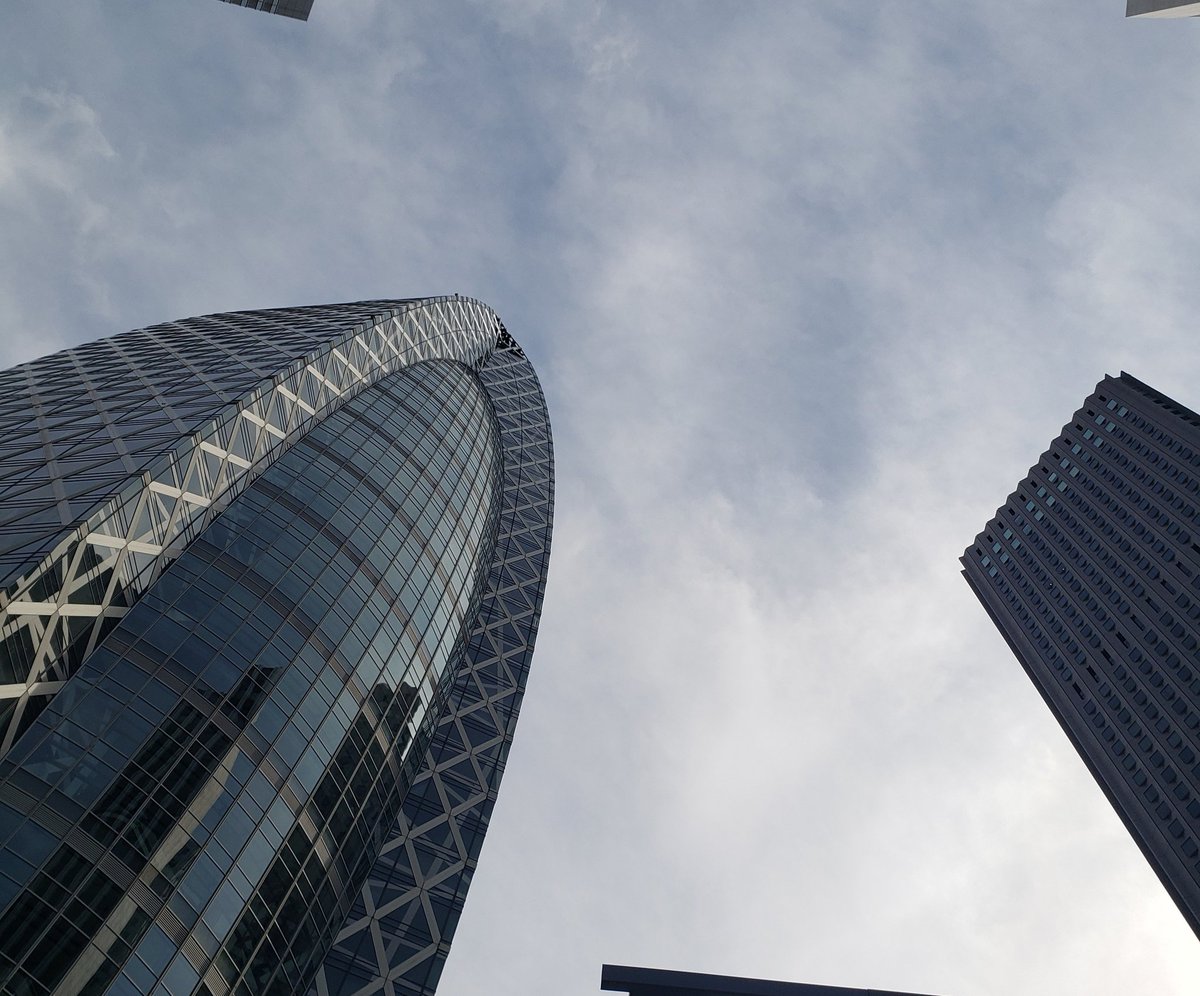 コスモス tweet media