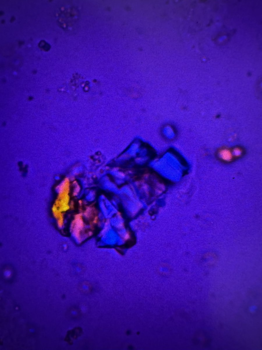 Madeline Chung, MD MS tweet media