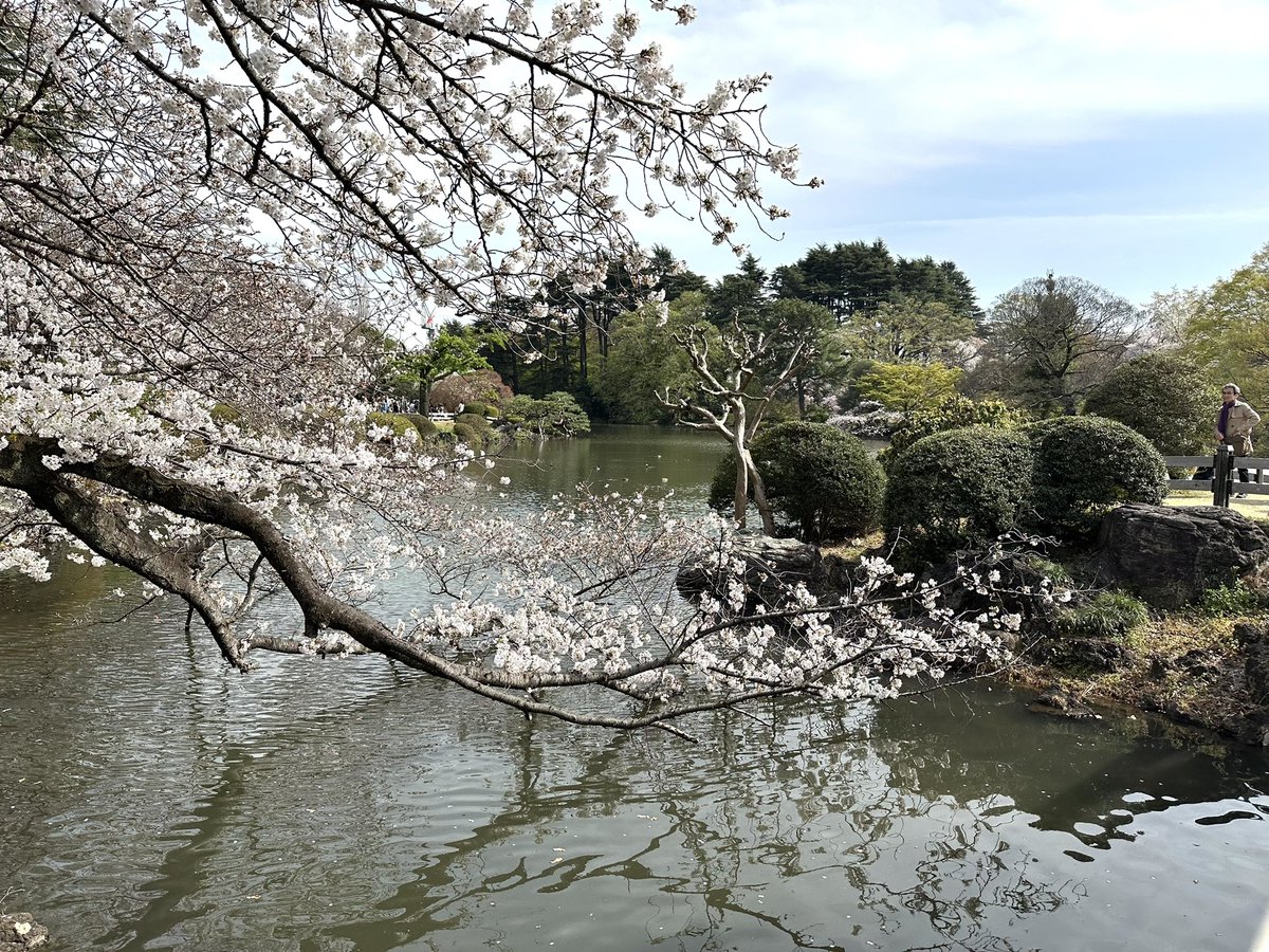 Dan Castellano tweet media