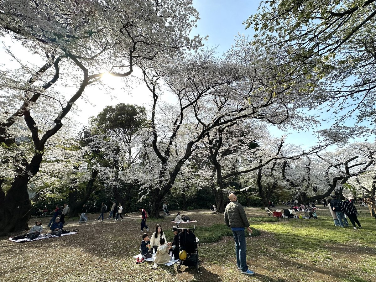 Dan Castellano tweet media