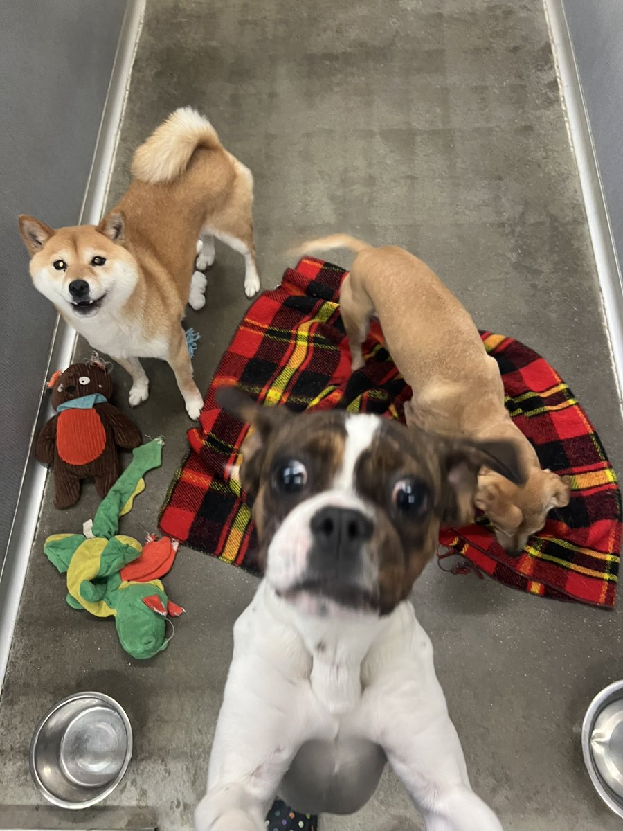 Literal psychos but I love them 🫶🏻