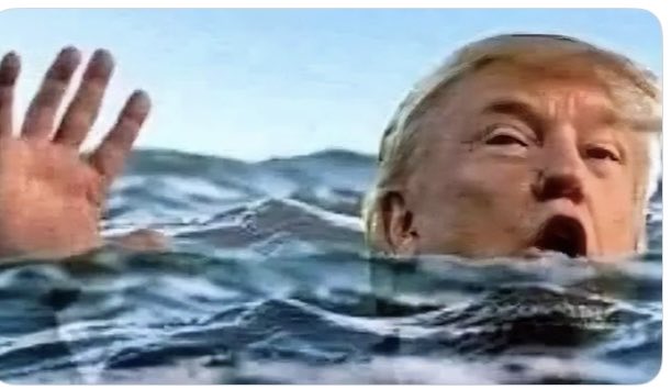 Suzie rizzio tweet media