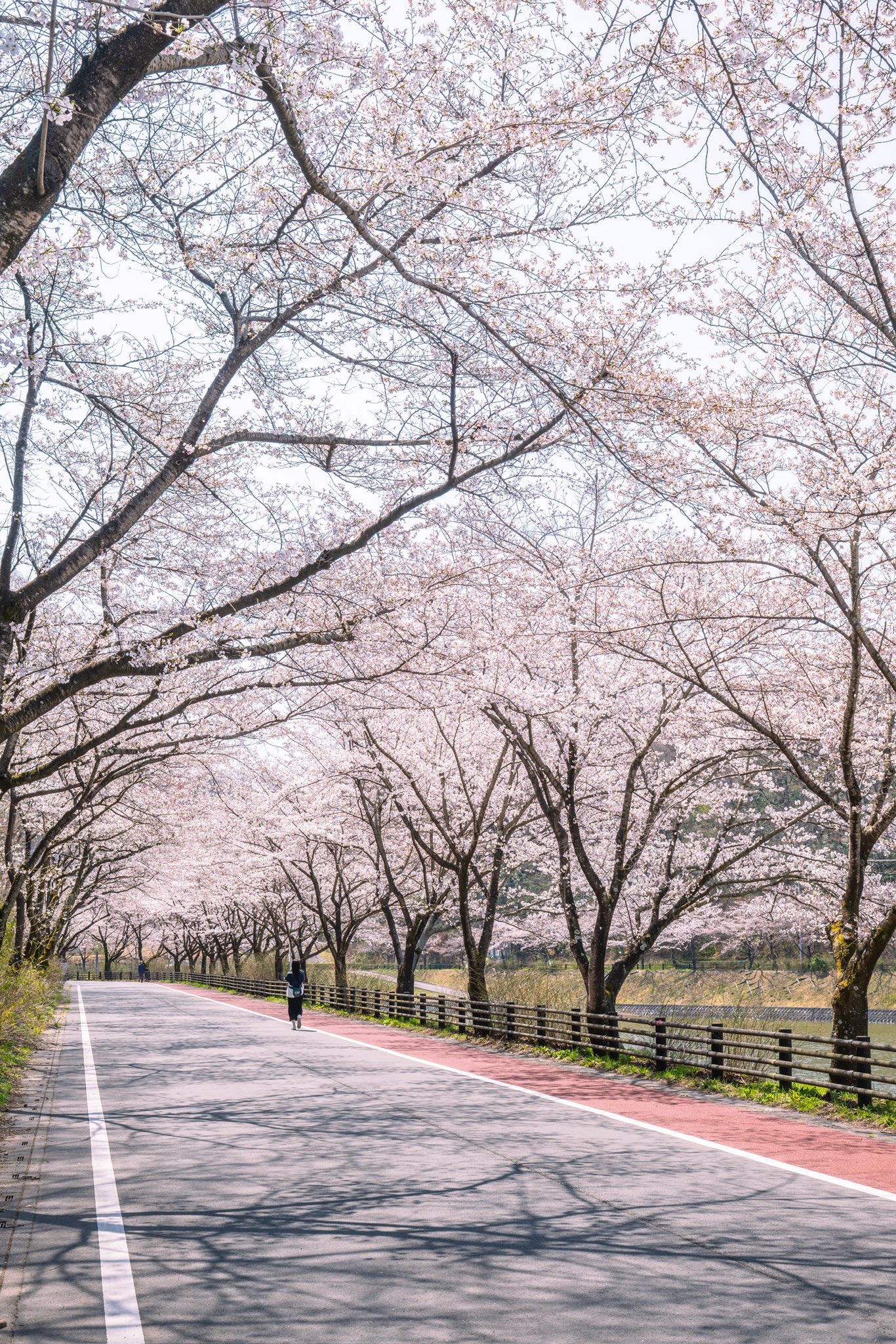 埼玉県寄居町 on X: 