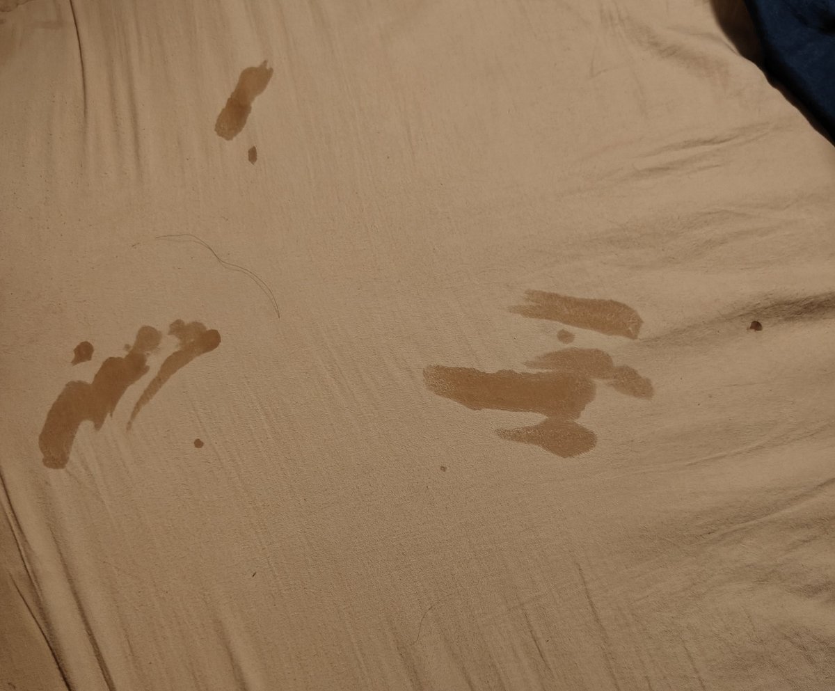 武汉熊0 tweet media