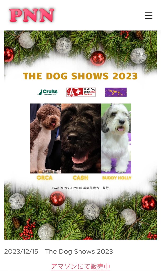 mayumi ide tweet media