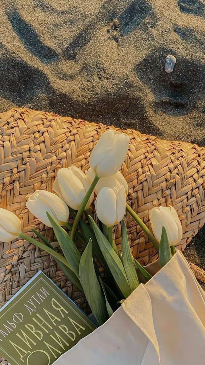 OceanBeach01's tweet photo. Happy Weekend 🤎🤎
#HappyWeekend #HappySaturday #weekend #WeekendVibes #ocean #oceanbeach #oceanbeachresort #oceanbeachresortmalindi #oceanbeachresortmalindikenya https://t.co/sO5U13bLLM