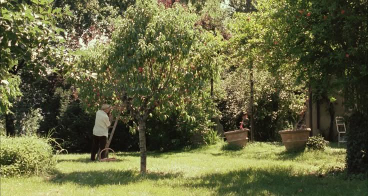 visionsinfilm's tweet photo. somewhere in northern italy https://t.co/44yzG3eofi