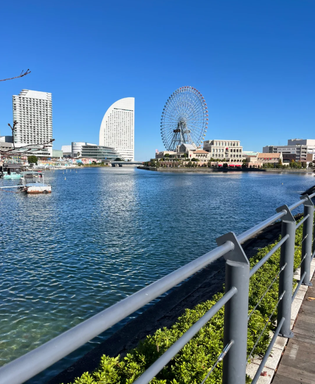 SimreSimre97's tweet image. JR桜木町下車山下公園まで散歩です
沿道の美食の景色は美しいです
歩いた人はこれからもここを恋しく思うでしょう。