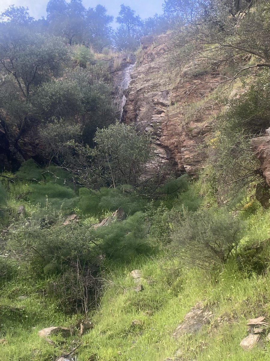 #AgropopularTrumpazo Buenos días desde Los Cabezos en la provincia de Cordoba con abundante niebla y lluvia estos días. Aquí con su buen amigo Rafael Navas. La respuesta es arancel