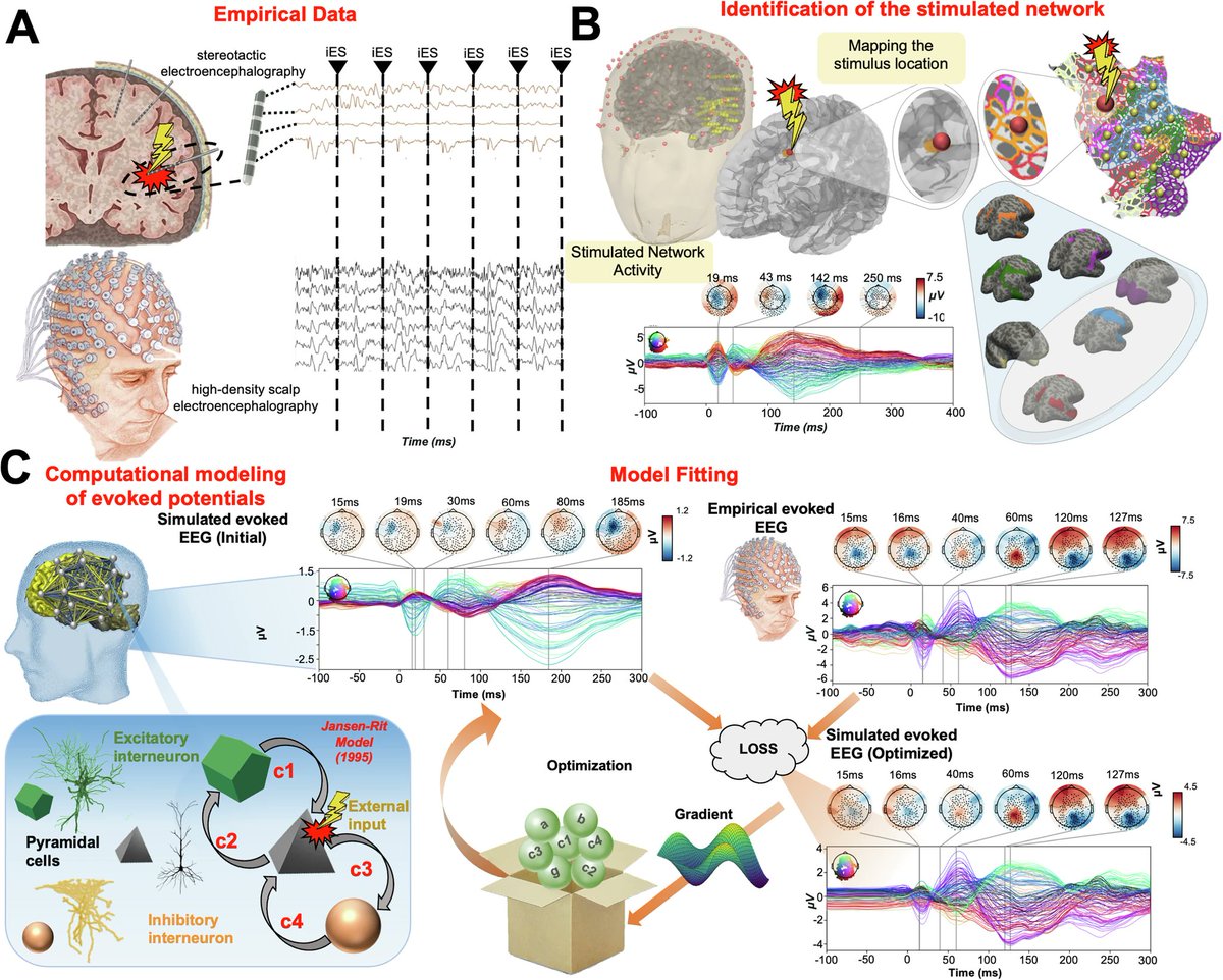 Davide Momi (@davemomi) on Twitter photo 1/11 How does our brain's hierarchical organization impact its response to stimulation? We found striking differences between "high-order" networks (involved in complex cognition) vs "low-order" networks (handling sensory/motor functions) <a href="/NatureComms/">Nature Communications</a>
nature.com/articles/s4146… 1/11 How does our brain's hierarchical organization impact its response to stimulation? We found striking differences between "high-order" networks (involved in complex cognition) vs "low-order" networks (handling sensory/motor functions) <a href="/NatureComms/">Nature Communications</a>
nature.com/articles/s4146…