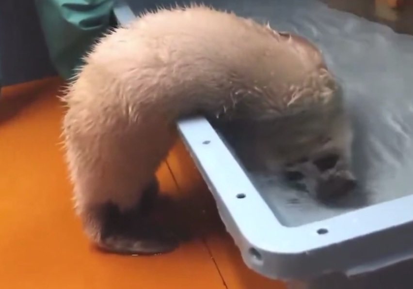 This tweet was probably directed at this guy