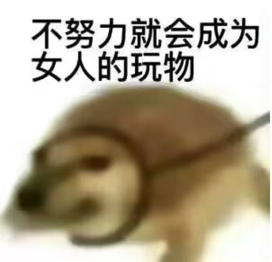 来个女s调教我