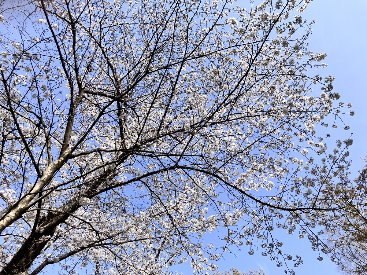 ℳ𝒾𝒸𝒽𝒾 tweet media