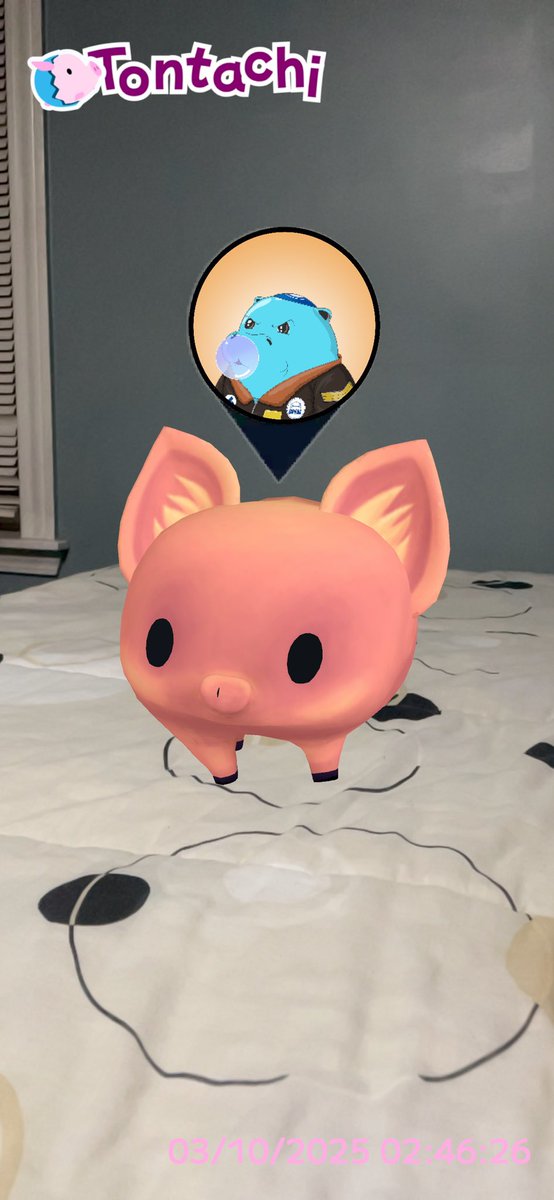 🐷💙🦛
🐷🖤🦍