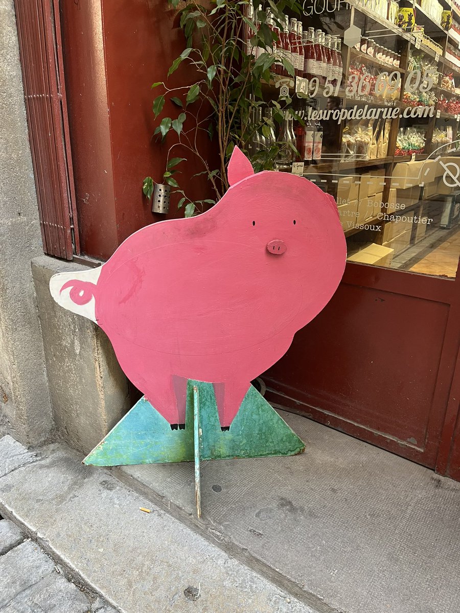 これはフランスのお店の前にいたぶたさん。かわいい。（中に生ハムとかあった。見なかったことにした）

#Lyon #shadowplay #kakashiza #さく旅