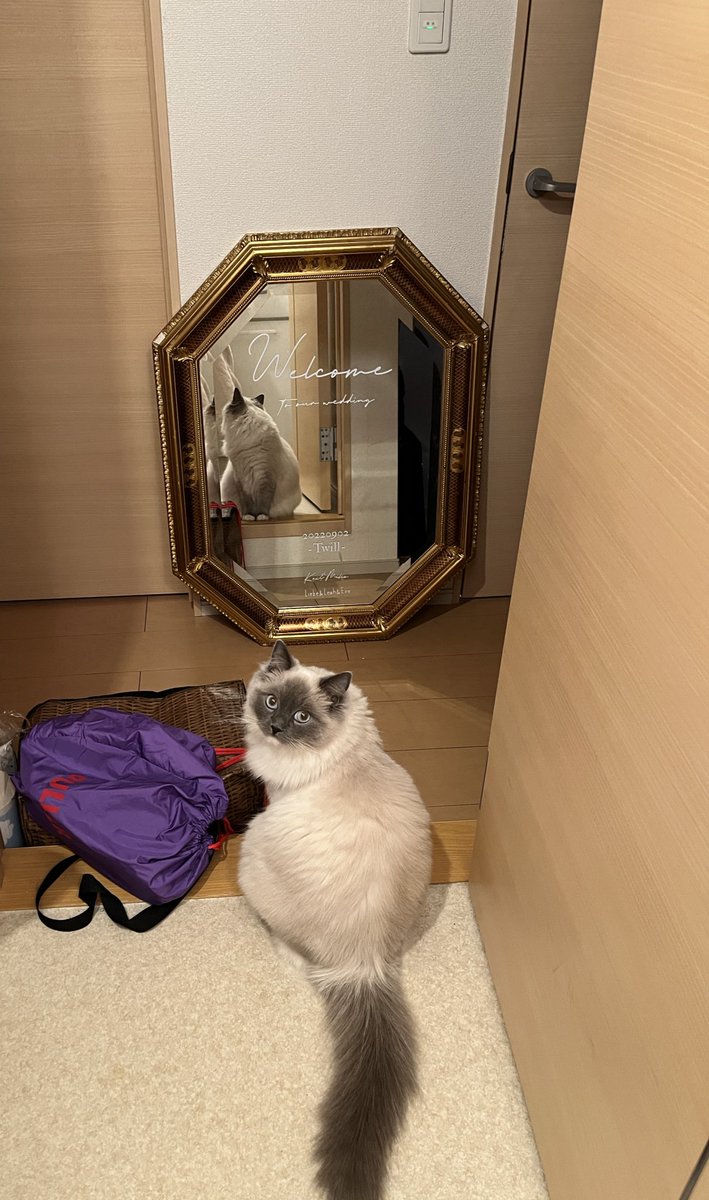 身嗜みチェケ✅