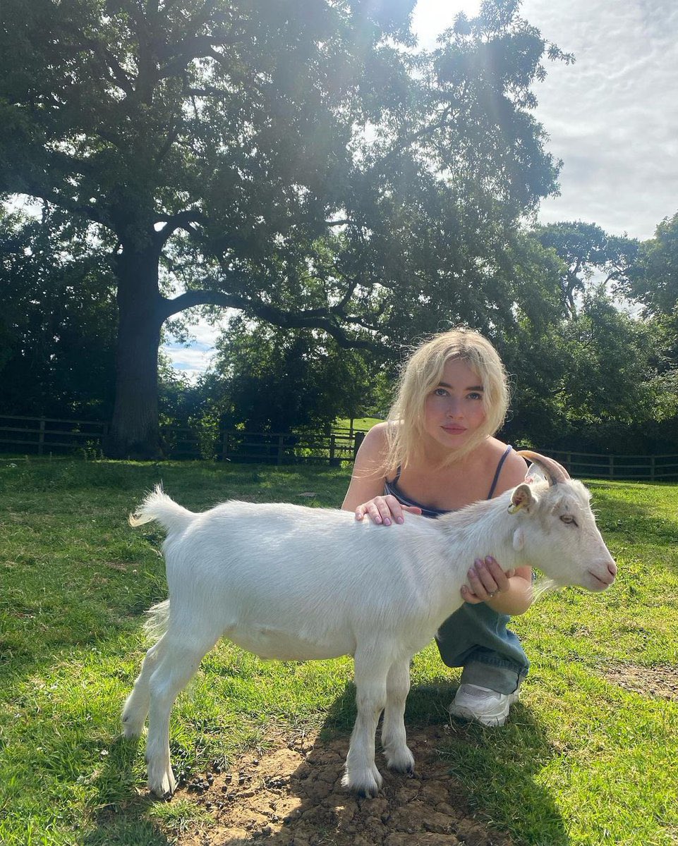 Sabrina Carpenter and Max Verstappen 🐐