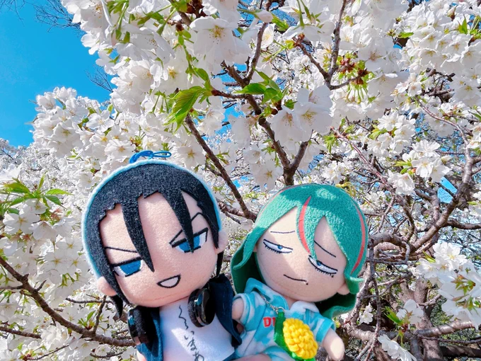 もっと花と東巻