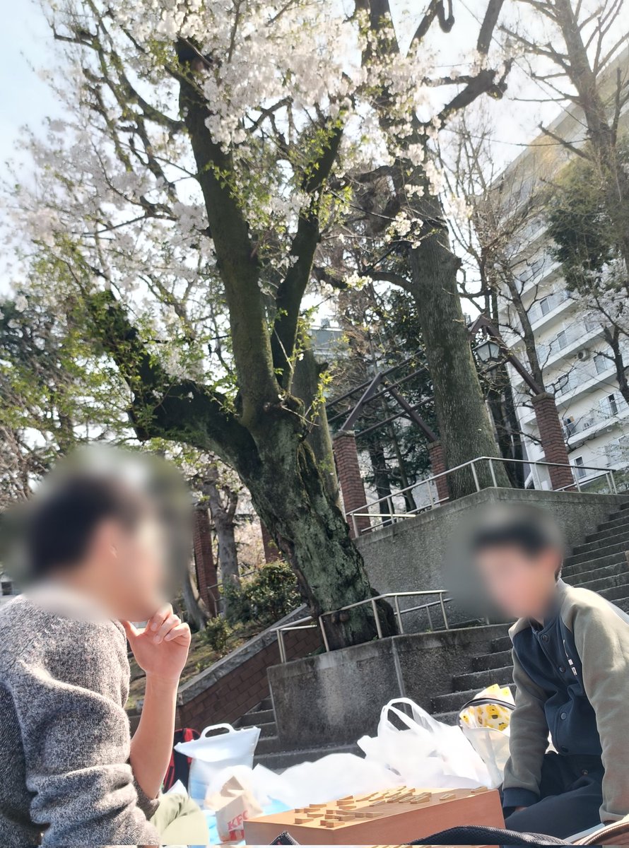 kokokog13's tweet photo. 次男、初めての花見将棋🌸 https://t.co/Myn5HEqOyL
