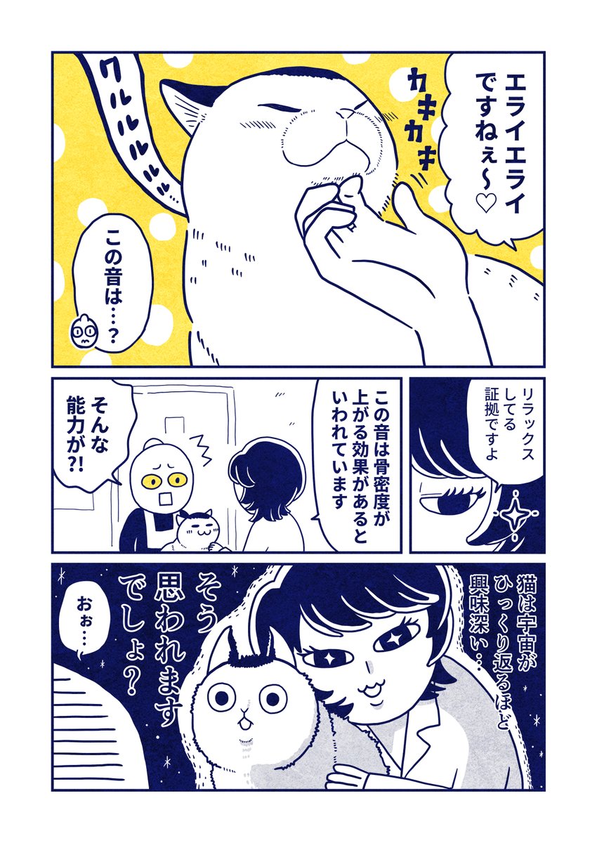 (8/8) 