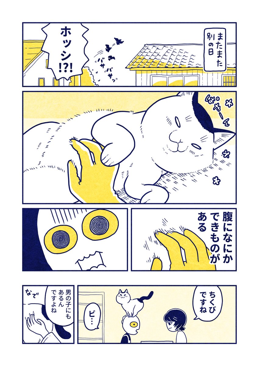 (8/8) 