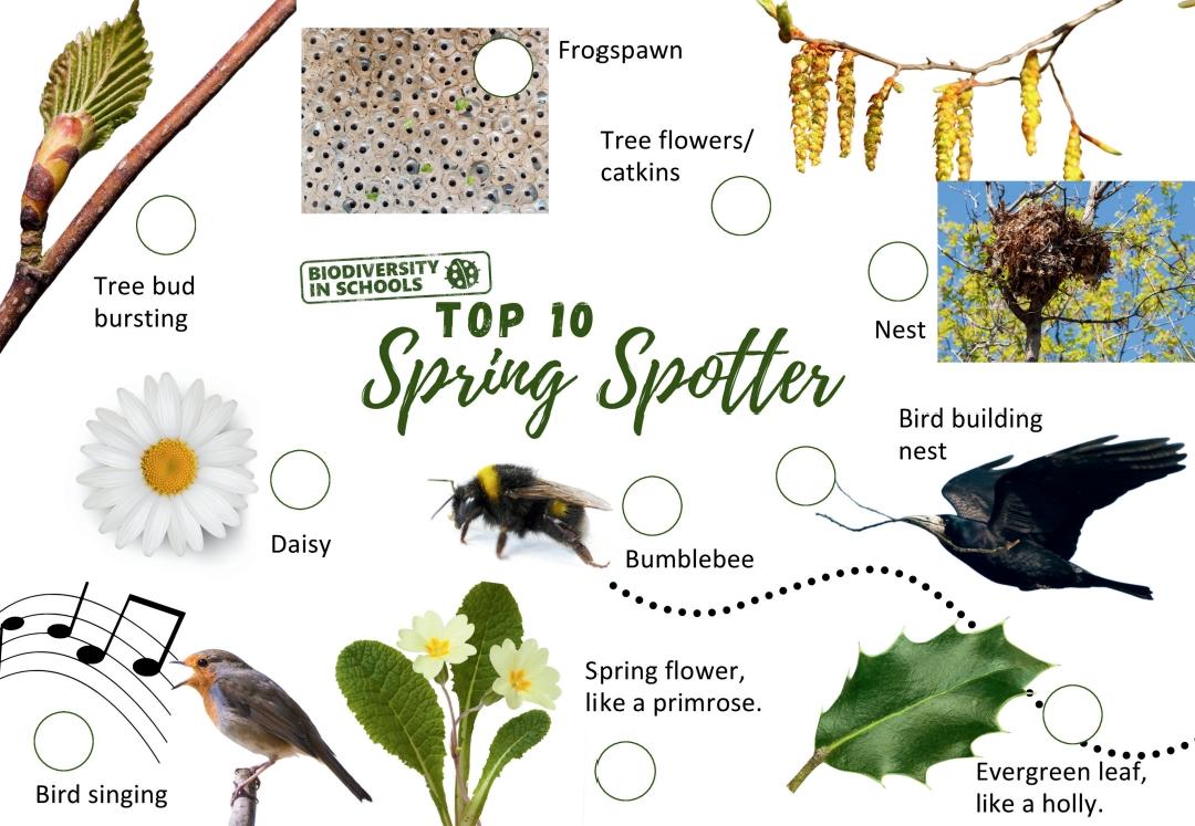 Muireann Ranta (@muireannranta) on Twitter photo Beautiful free resource from <a href="/BioInSchools/">Biodiversity in Schools</a> to connect with Spring <a href="/OMEPIreland/">OMEP Ireland</a> 🐸🐝🌱🏵 Beautiful free resource from <a href="/BioInSchools/">Biodiversity in Schools</a> to connect with Spring <a href="/OMEPIreland/">OMEP Ireland</a> 🐸🐝🌱🏵