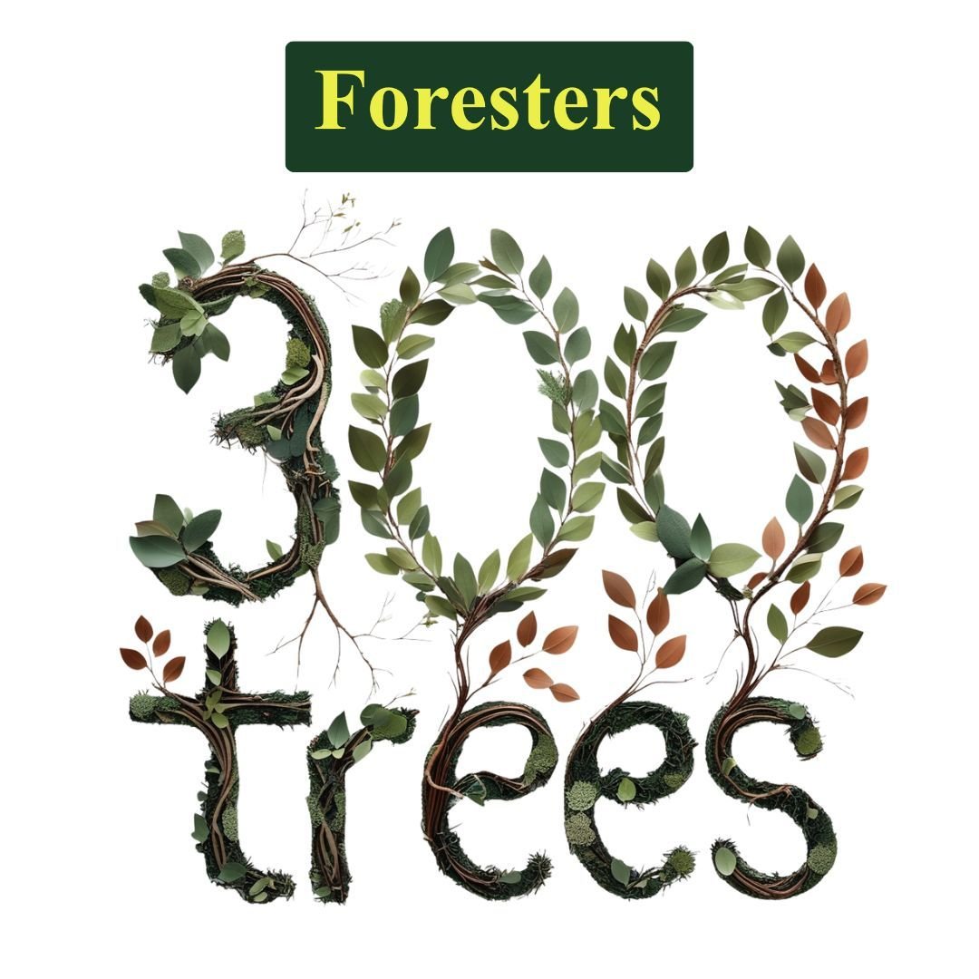 Thanks to our amazing vendors, we’re proud to share that we’ve just planted our 300th tree! 🌲.

Whenever someone instructs us to sell their home, we plant a tree. It’s our little way of giving back.

Thinking of moving? Let’s grow something great together. 01435 865477