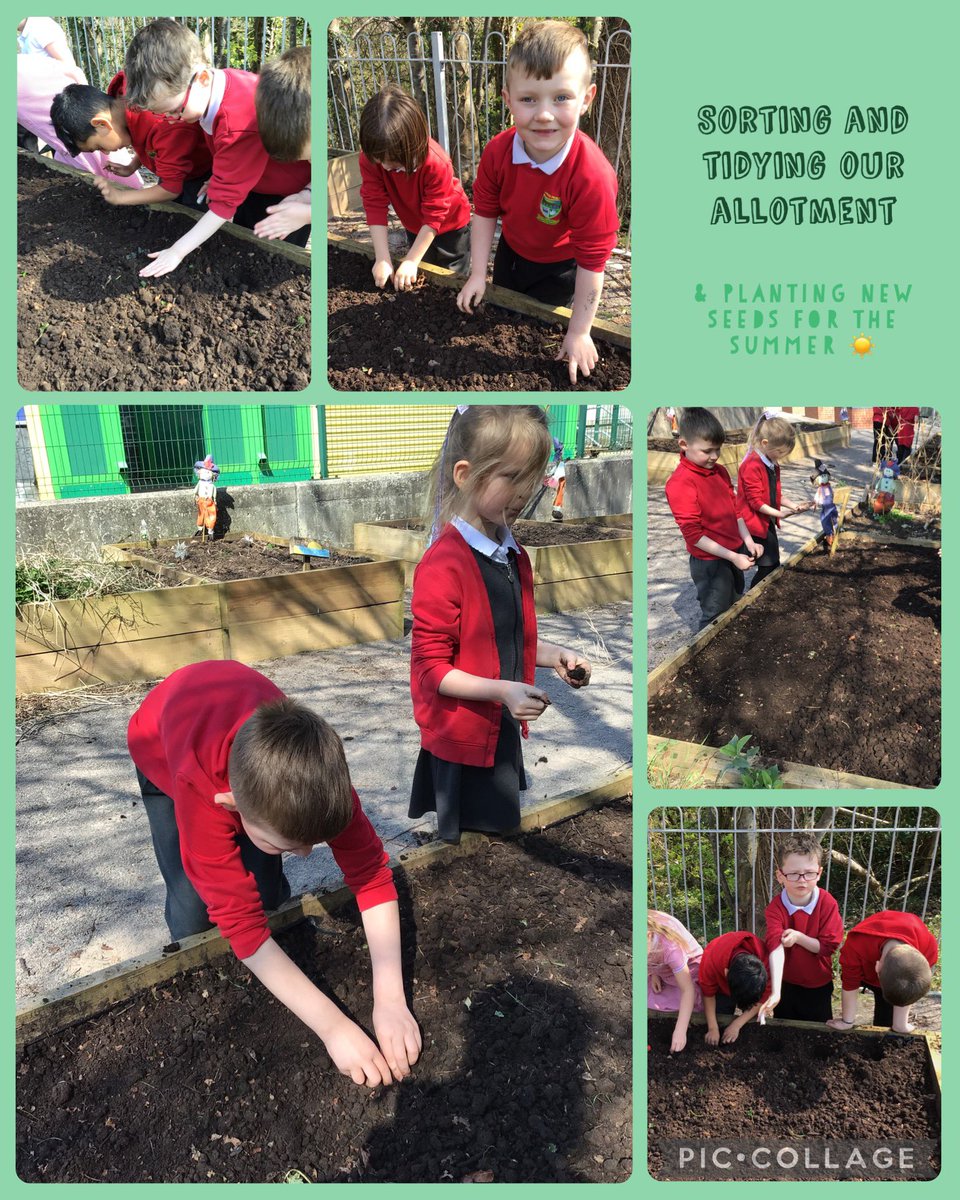 Diolch yn fawr <a href="/MissKAllen95/">Miss Allen</a> for taking Dosbarth 4 to our allotment area. They enjoyed weeding and tidying it, then planting different vegetables. We’re so excited to watch them grow 🫑 🥔 🥕🧅 <a href="/garntegprimary/">Garnteg Primary</a> <a href="/missswilliams95/">Mrs S Parfitt</a>
