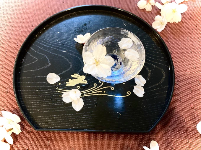 これでひとネタできそう今宵は花見酒 