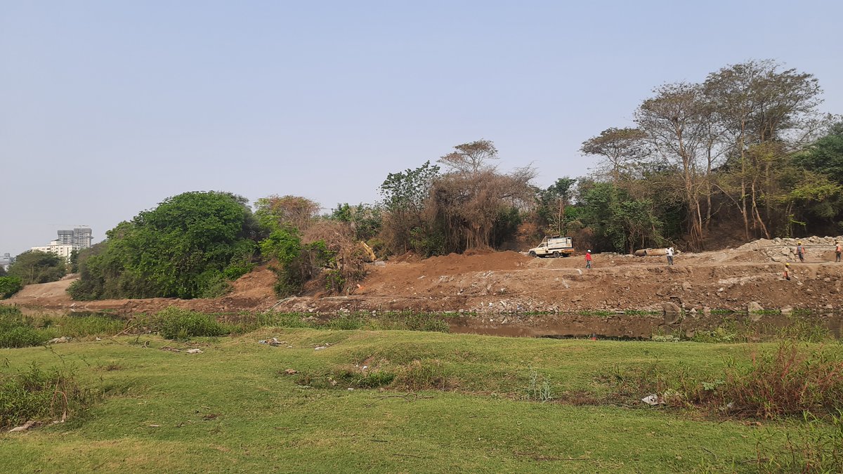 rammuladevrai's tweet image. @rammuladevrai, is a sacred grove located at the confluence of the Ram and Mula rivers. 
A recognition as &quot;Community Reserves&quot; could ensure formal protection under Indian environmental laws. Pls amplify and #SaveRamMulaDevrai

@mahaforest @CMOMaharashtra @NaikSpeaks @Dev_Fadnavis