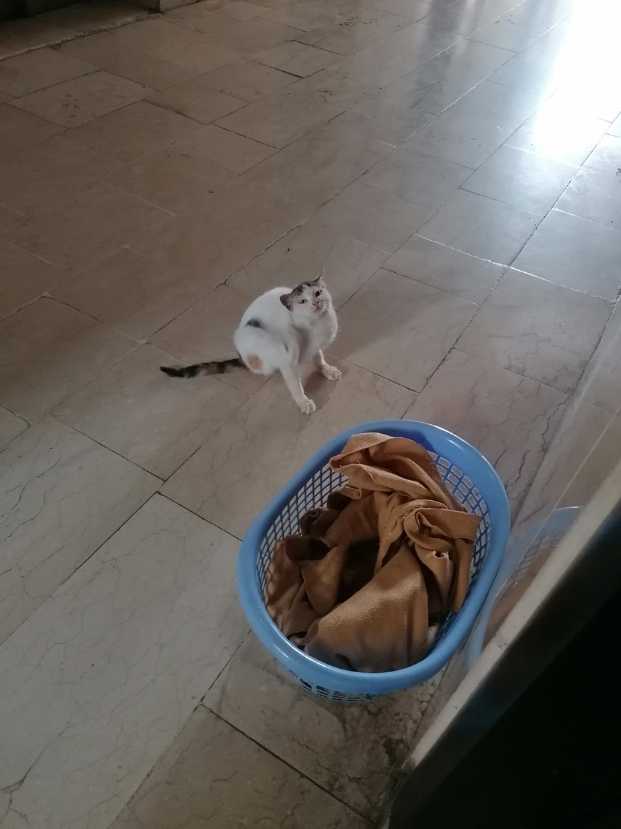 Mazhar (@mazhar2072469) on Twitter photo 