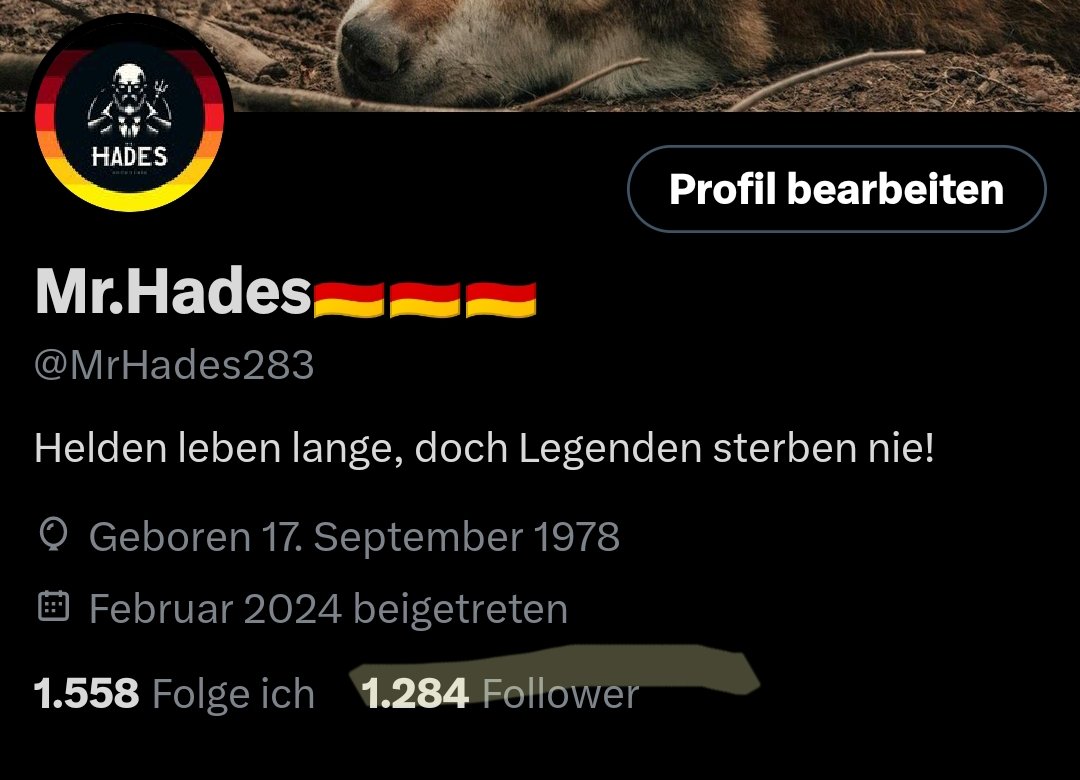 Mehr als 300 Follower in kurzer Zeit, ihr seid der Wahnsinn 😘