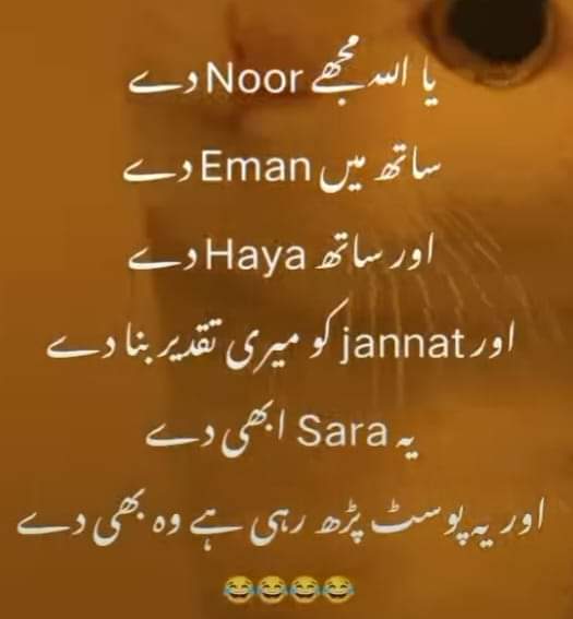 احمد خان انصافی (@11hmid) on Twitter photo #ملک_پرموشن
Follow⤵️
<a href="/01Mllik/">𝙈𝘼𝙇𝙄𝙆 𝙅𝙄💫💙</a> <a href="/1arshd/">𝗔𝗿𝘀𝗵𝗱 𝗠𝗹𝗶𝗸💫👑</a>
<a href="/01rshd/">ارشـــد مــلــک❤️</a> <a href="/sehr_ik/">سحر ملک 🦋🦋</a>
<a href="/1Arshii/">𝓐𝓻𝓼𝓱𝓲𝓪 🌸💫</a> <a href="/11iasd/">Ali Asad</a>
<a href="/smnmlik/">سمن ملک 💫</a>
@1sampti
<a href="/111mn1/">🐬آمنہ ملک🦋</a>
<a href="/glmsjd/">𝑺𝒂𝒋𝒋𝒂𝒅 ✨</a>
<a href="/11hmid/">احمد خان انصافی</a>
<a href="/1smina/">samina angel</a>
<a href="/Khn134/">منعم خان</a>
<a href="/bndy66/">khawaja ASÃD</a>
<a href="/bashri_1/">Bashri👑</a>
<a href="/sjjad_04/">Sajjad Sunasara</a>
@Hfsa780
<a href="/HD_7691/">Hameed Ullah</a>
@sehr_mlk
<a href="/NighatYZ/">Nighat Yousafzay</a>
<a href="/Haris_943/">Haris PTI ᵀᶠᴸᵂ</a>
@_MalikPTI
<a href="/inshjj/">Enshu ꕥ</a> <a href="/Znt33/">🦋ZêēñäT</a>
<a href="/guljnt/">گُل جنت🌷</a> <a href="/Pir_80/">Pir Shb</a>
@bndy5_ <a href="/Ghz35/">🇬 🇭 🇦 🇿 🇦 🇱 🇦 🇭</a>
<a href="/Muskan_Pirzada/">Muskan Khan</a> #ملک_پرموشن
Follow⤵️
<a href="/01Mllik/">𝙈𝘼𝙇𝙄𝙆 𝙅𝙄💫💙</a> <a href="/1arshd/">𝗔𝗿𝘀𝗵𝗱 𝗠𝗹𝗶𝗸💫👑</a>
<a href="/01rshd/">ارشـــد مــلــک❤️</a> <a href="/sehr_ik/">سحر ملک 🦋🦋</a>
<a href="/1Arshii/">𝓐𝓻𝓼𝓱𝓲𝓪 🌸💫</a> <a href="/11iasd/">Ali Asad</a>
<a href="/smnmlik/">سمن ملک 💫</a>
@1sampti
<a href="/111mn1/">🐬آمنہ ملک🦋</a>
<a href="/glmsjd/">𝑺𝒂𝒋𝒋𝒂𝒅 ✨</a>
<a href="/11hmid/">احمد خان انصافی</a>
<a href="/1smina/">samina angel</a>
<a href="/Khn134/">منعم خان</a>
<a href="/bndy66/">khawaja ASÃD</a>
<a href="/bashri_1/">Bashri👑</a>
<a href="/sjjad_04/">Sajjad Sunasara</a>
@Hfsa780
<a href="/HD_7691/">Hameed Ullah</a>
@sehr_mlk
<a href="/NighatYZ/">Nighat Yousafzay</a>
<a href="/Haris_943/">Haris PTI ᵀᶠᴸᵂ</a>
@_MalikPTI
<a href="/inshjj/">Enshu ꕥ</a> <a href="/Znt33/">🦋ZêēñäT</a>
<a href="/guljnt/">گُل جنت🌷</a> <a href="/Pir_80/">Pir Shb</a>
@bndy5_ <a href="/Ghz35/">🇬 🇭 🇦 🇿 🇦 🇱 🇦 🇭</a>
<a href="/Muskan_Pirzada/">Muskan Khan</a>