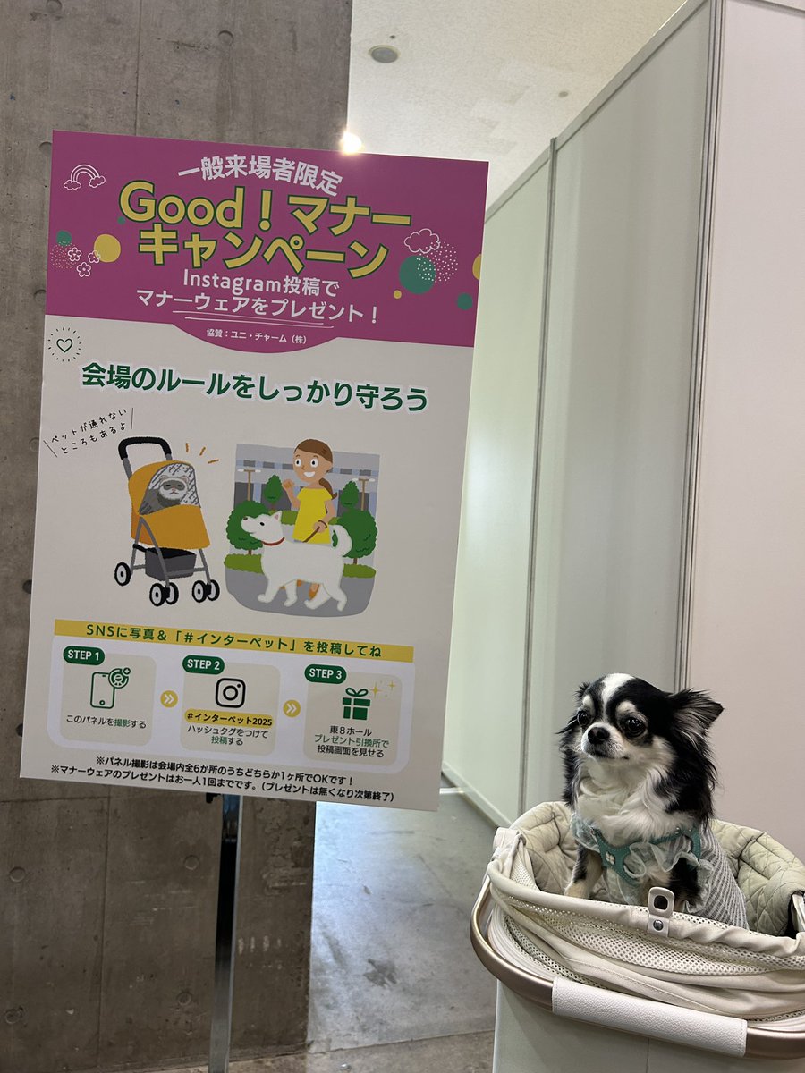 can_dailys's tweet photo. #インターペット2025 https://t.co/1TE1LBaVJe