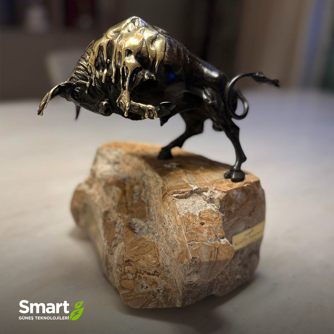 Smart Güneş Teknolojileri tweet media