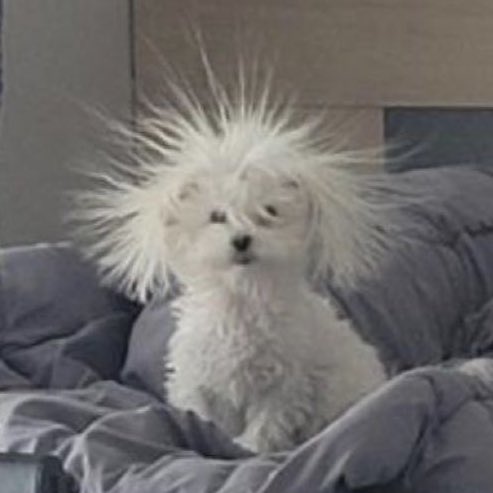 น้องนิวหนิ 52525252555552555555552552555525525255555555255252525252555552

#CeraVeSummerPlaylandxซีนุนิว
#CeraVeSummerPlayland
#ZeeNuNew