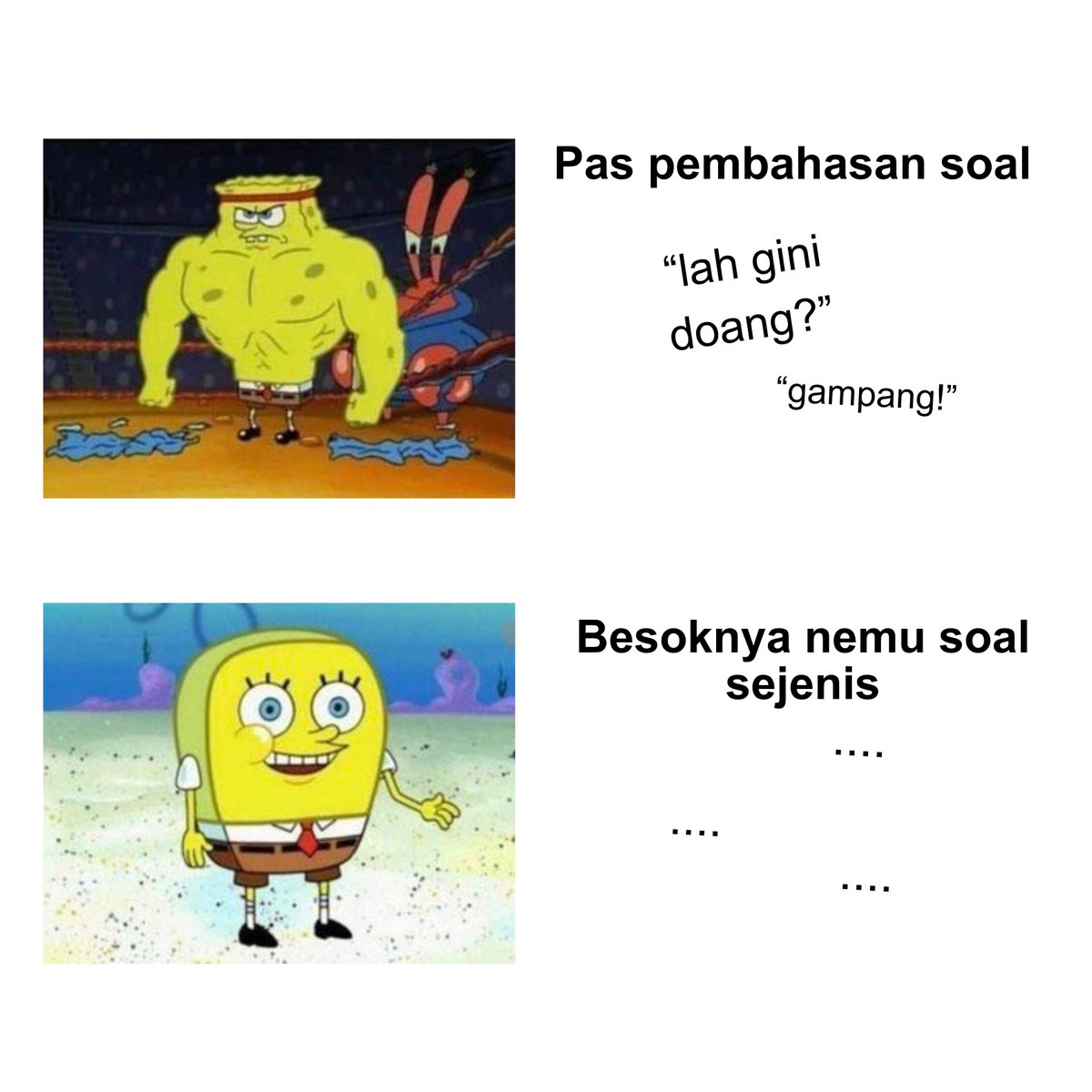 Skuling | Latsol & TO SNBT, TKA, Kedinasan tweet media
