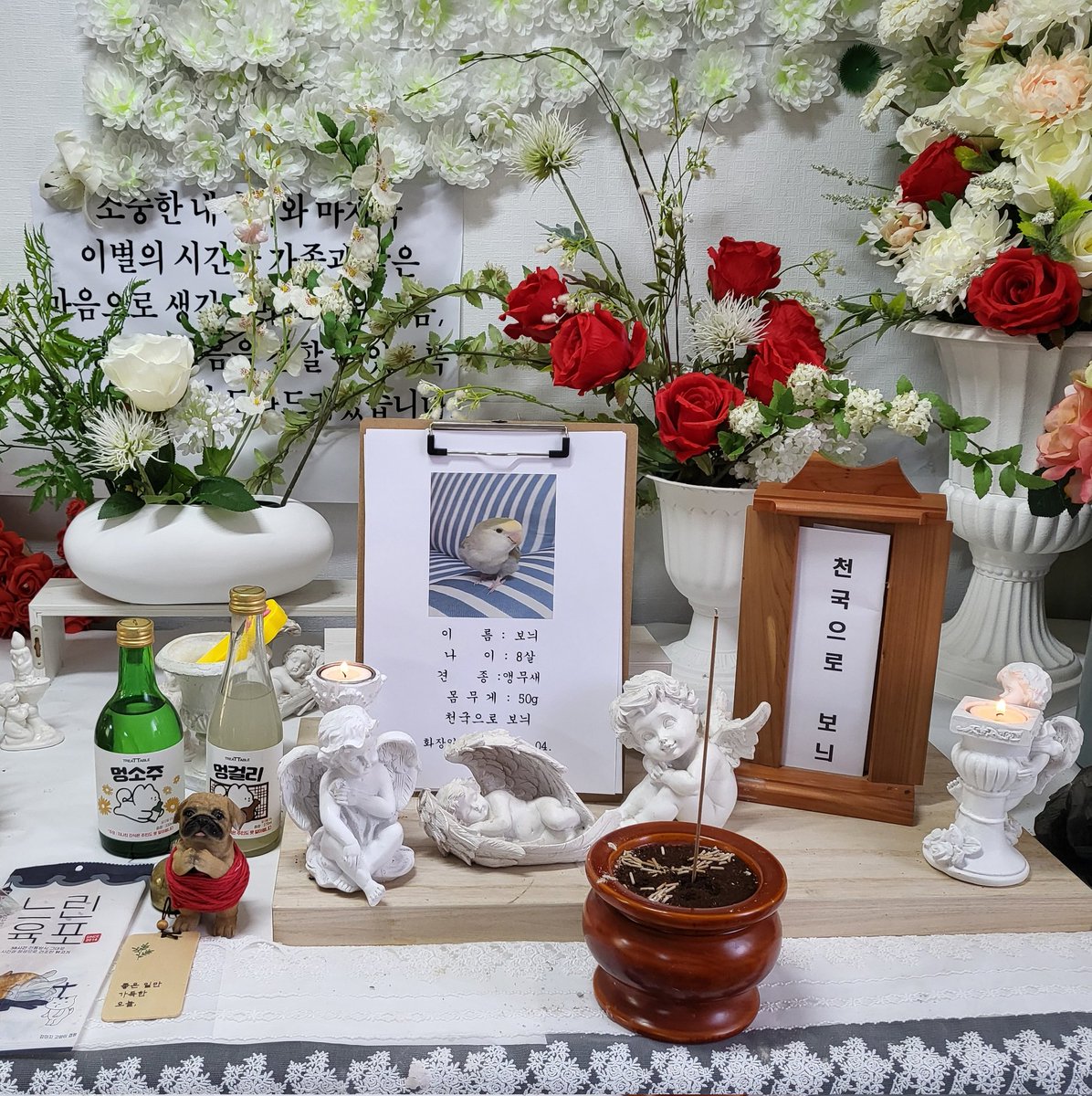 베리 tweet media