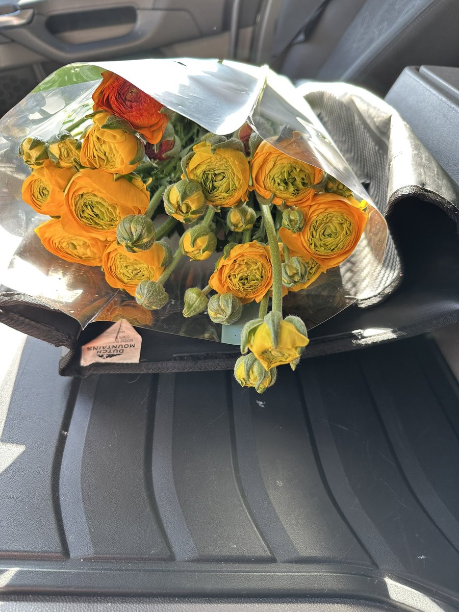 Martinus63's tweet photo. Zoveel vazen heb ik niet. #zaterdagwerk #pioenroos #Ranonkel https://t.co/XPqjpalEyy