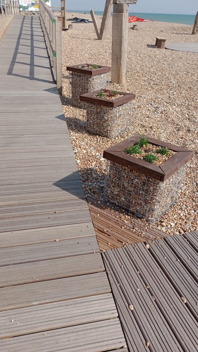 Community Supporters tweet media