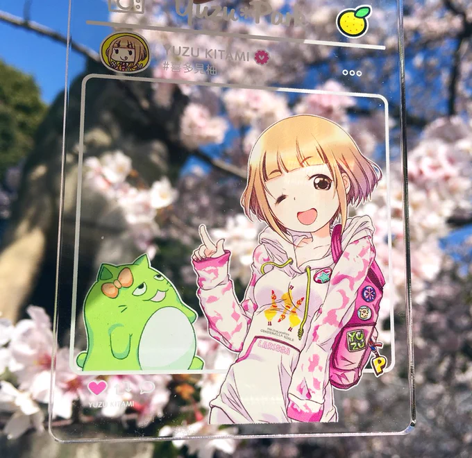 喜多見柚ちゃん!桜だよー! 