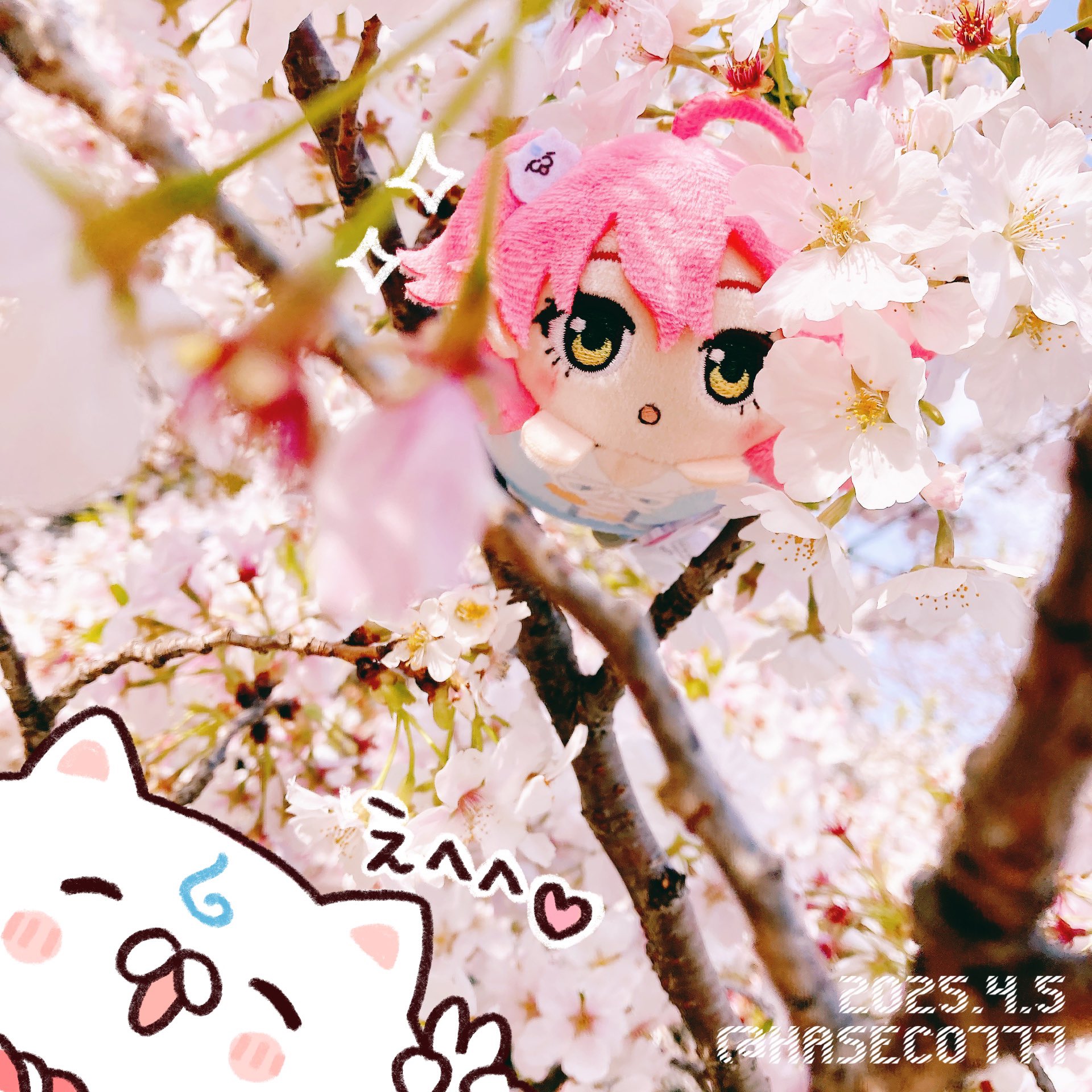 HASECO (@HASECO777) / X