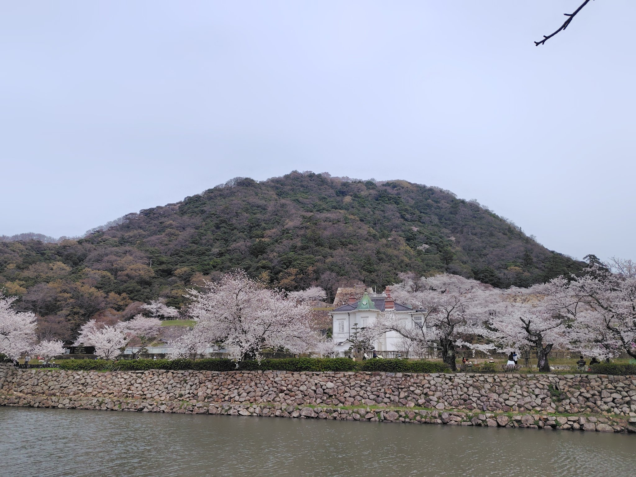 久松公園 - Search / X