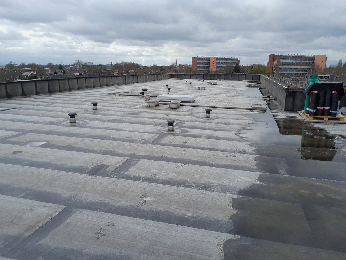 Peter Hutten tweet media