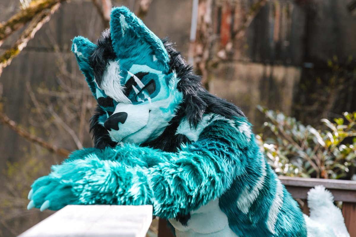 つちっこ tweet media