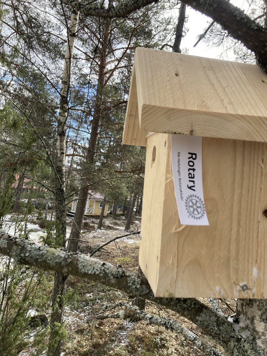 Luxury lintupönttö odottaa uusia asukkaita. 🐣🐥
Kiitos Rotarylle hauskasta lahjasta.<a href="/Rotary/">Rotary International</a> <a href="/BirdlifeSuomi/">BirdLife Suomi</a>