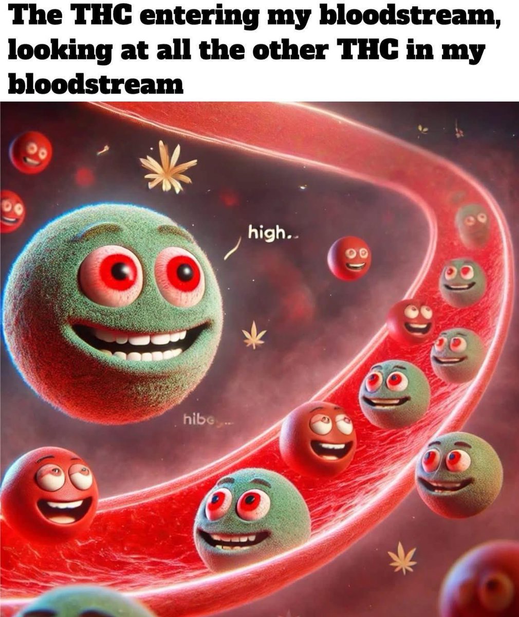 𝔸𝕟𝕘𝕖𝕝🪽 (@angelthehighest) on Twitter photo 