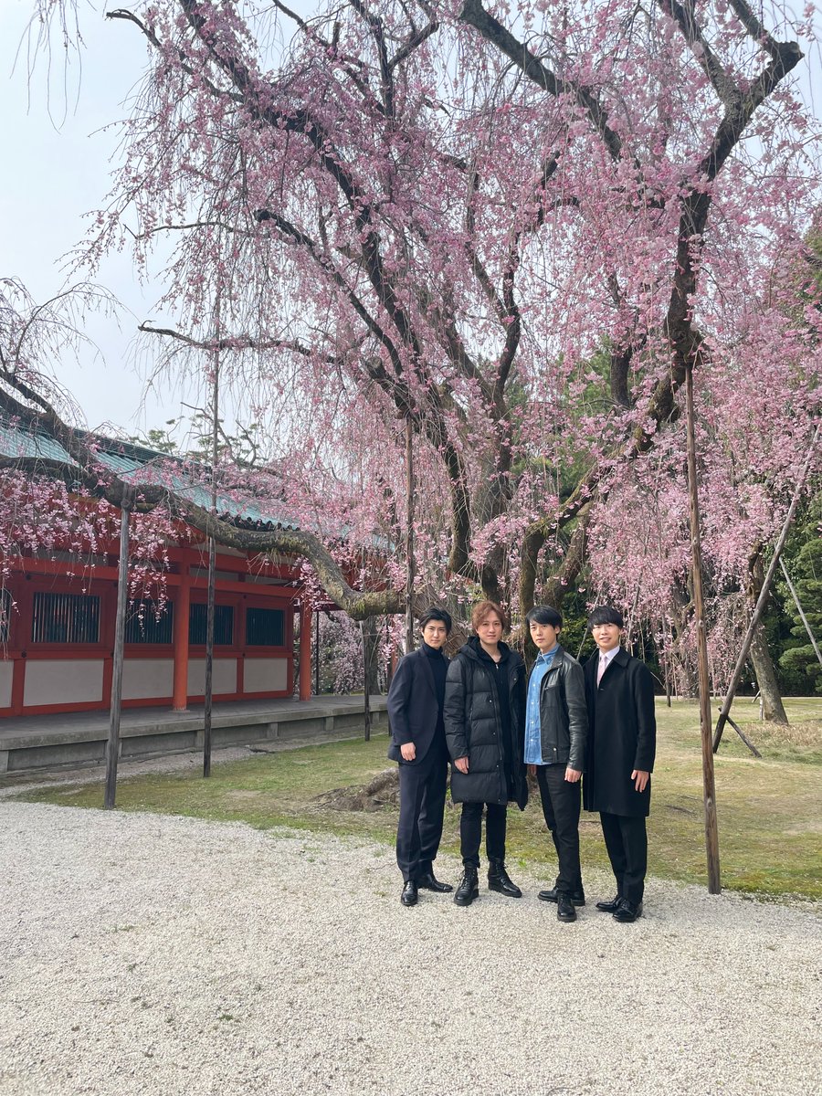 平安神宮【公式】 (@kyotoheianjingu) / X 平安神宮【公式】 (@kyotoheianjingu) / X